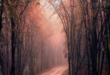 开云体育登录-澳网鏖战ATP总决赛，穆雷关键制胜的简单介绍