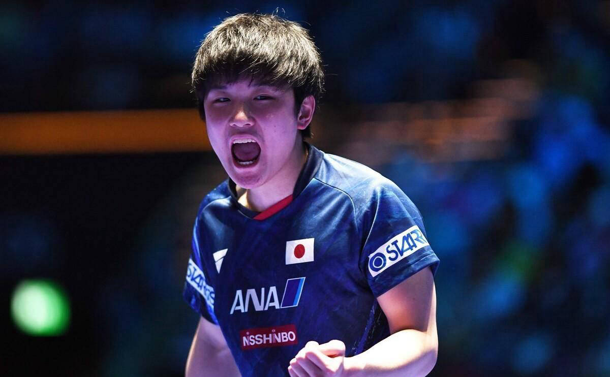 包含中国乒乓球队完胜波兰乒乓球队,张本智和关键制胜的词条 包含中国乒乓球队完胜波兰乒乓球队,张本智和关键制胜的词条