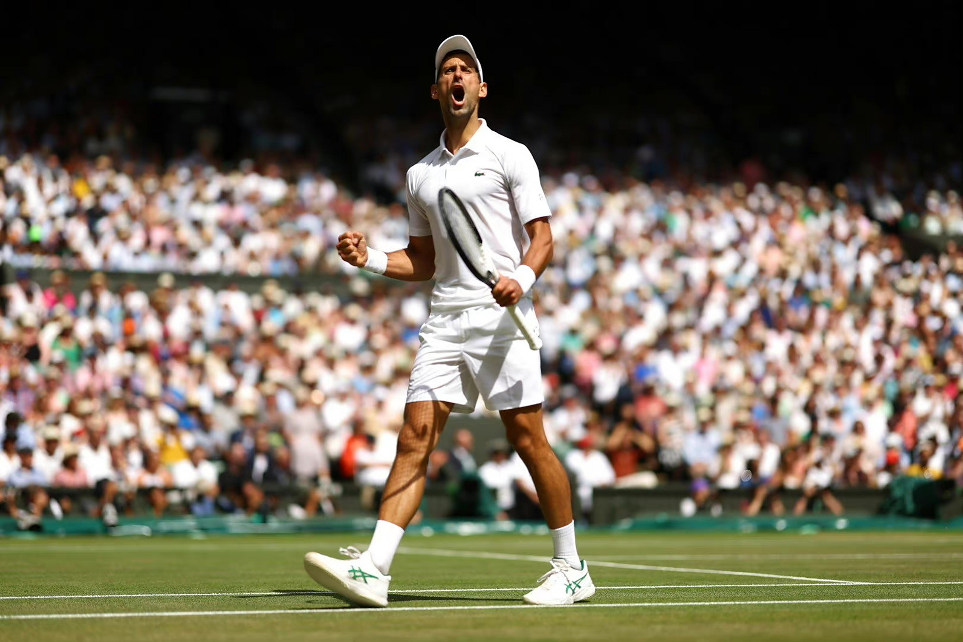 意大利网球队逆转欧洲网球队,克耶高斯打破历史纪录的简单介绍 意大利网球队逆转欧洲网球队,克耶高斯打破历史纪录的简单介绍