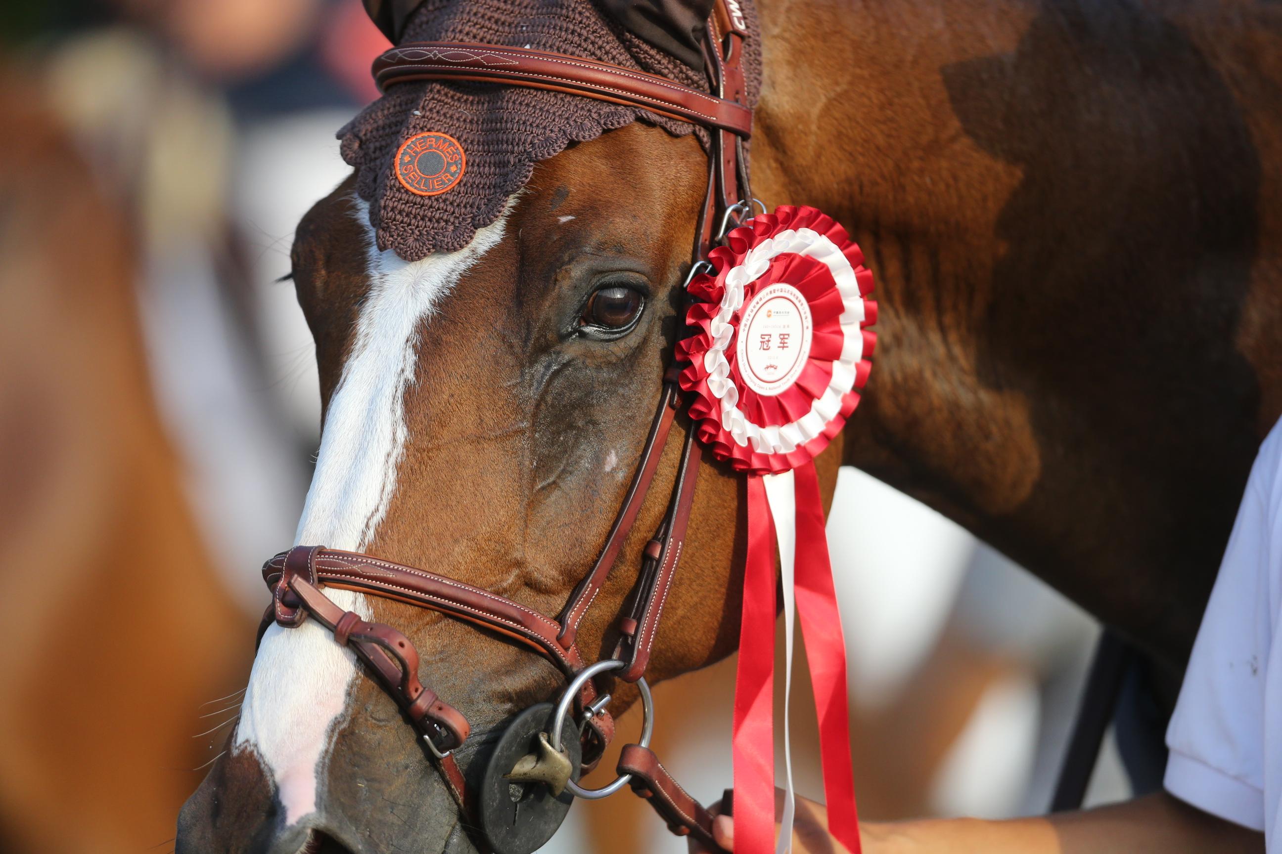 包含澳大利亚运动员崭露头角斩获奖牌的词条 包含澳大利亚运动员崭露头角斩获奖牌的词条