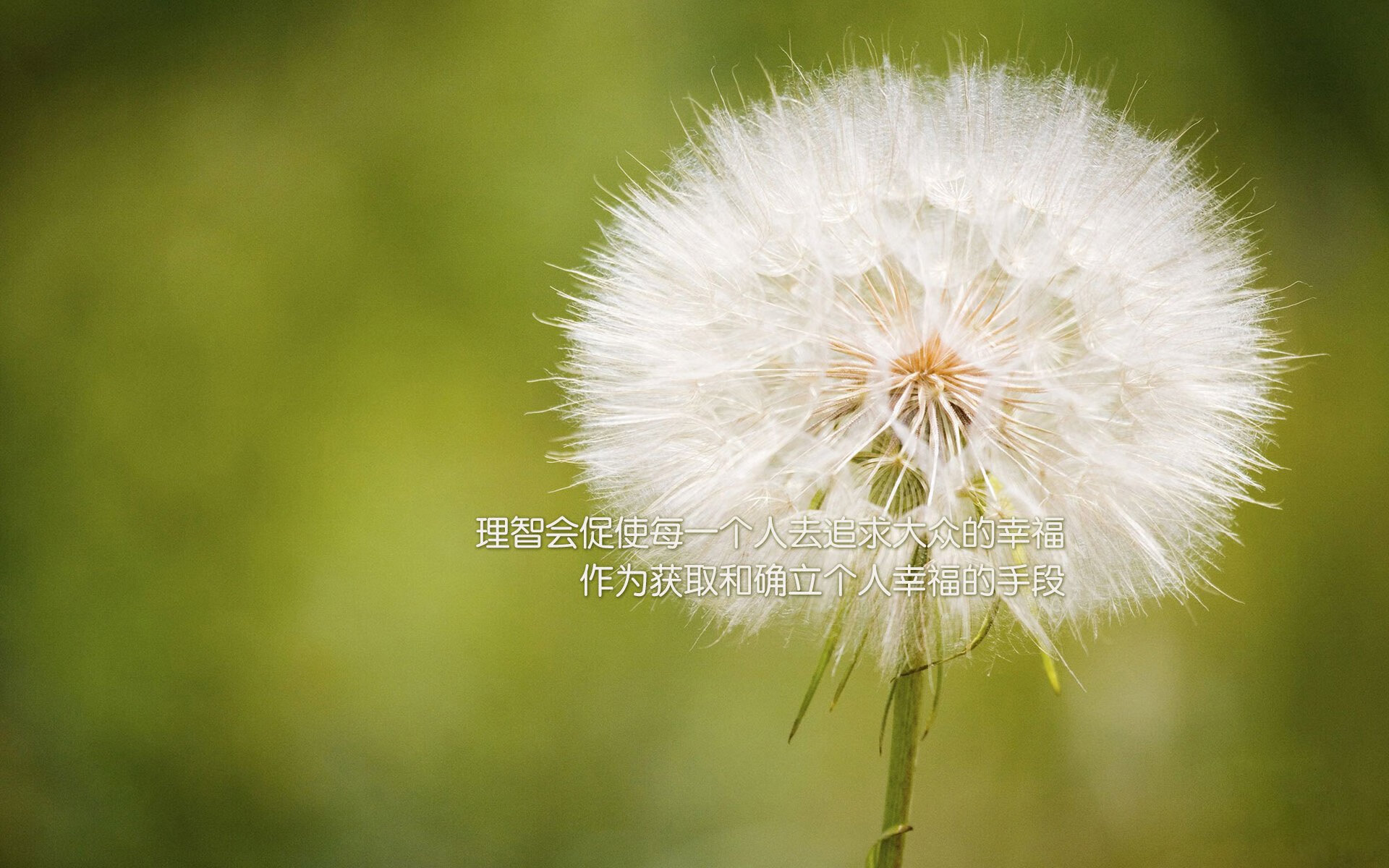 当曼城蓝遇见卡塔尔金，加维的生涯之夜如何重新定义足球未来